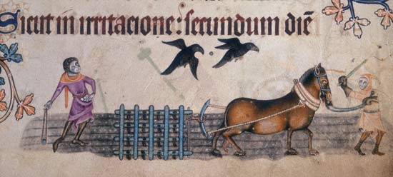 The Luttrel Psalter